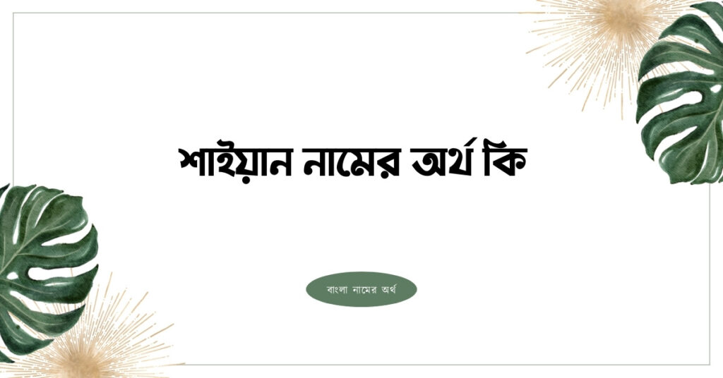 শাইয়ান নামের অর্থ কি - নামটির ইসলামিক অর্থ জানুন - ই বাংলা শাইয়ান নামের অর্থ কি - shayan namer ortho ki