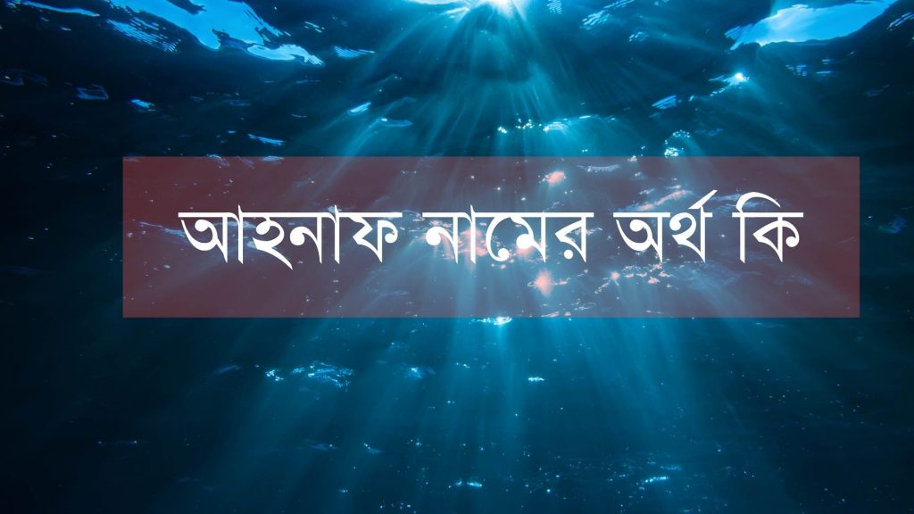 আহনাফ নামের অর্থ কি - নামটি রাখার আগে ১০ বার ভাবুন - ই বাংলা