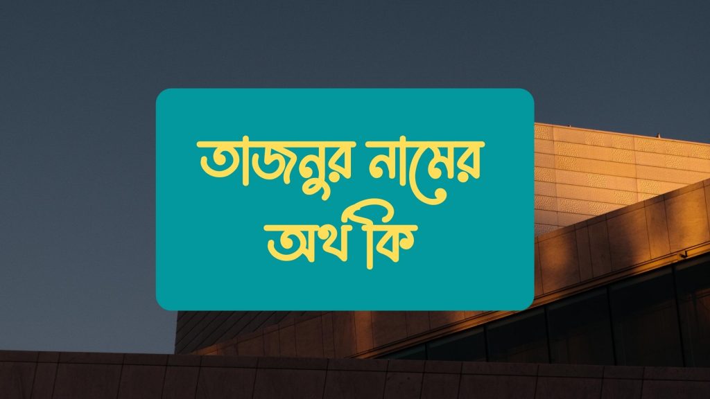 তাজনুর নামের অর্থ কি তাজনুর নামের অর্থ কি