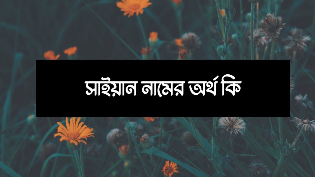 সাইয়ান নামের অর্থ কি (পুরো নামের সাজেশন সহ) - ই বাংলা