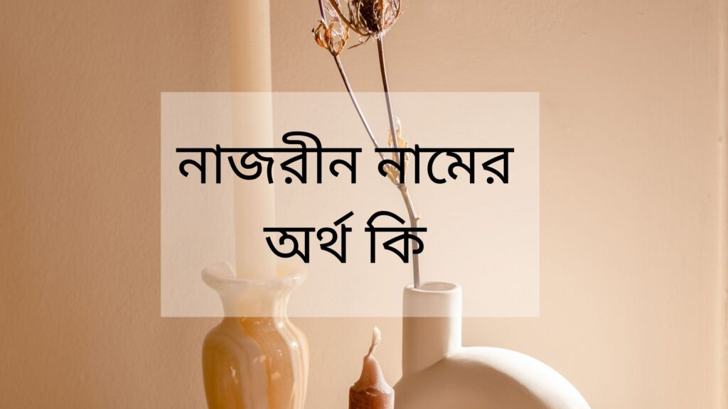 নাজরীন নামের অর্থ কি, আরবি ও আধুনিক অর্থসহ জানুন - ই বাংলা নাজরীন নামের অর্থ কি