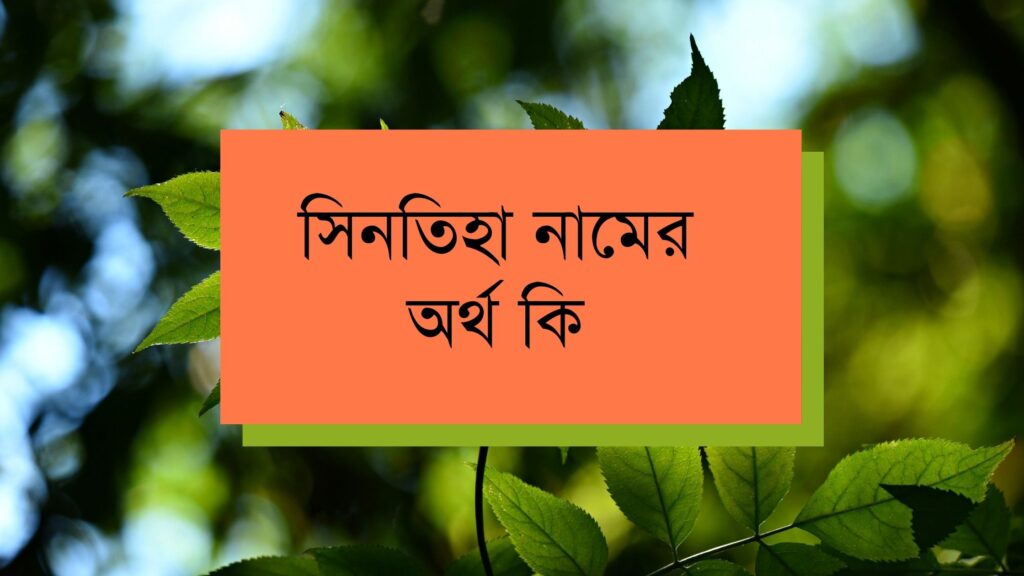 সিনতিহা নামের অর্থ কি, ভাষাভেদে নামটির অর্থ আলাদা - ই বাংলা সিনতিহা নামের অর্থ কি