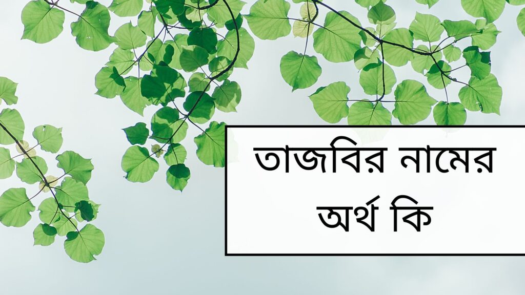 তাজবির নামের অর্থ কি – আরবি বাংলা ইসলামিক ফারসি অর্থ - ই বাংলা তাজবির নামের অর্থ কি