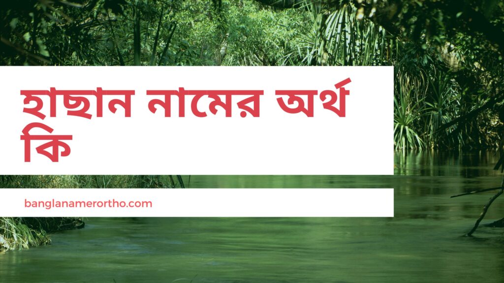 হাছান নামের অর্থ কি – আরবি বাংলা ইসলামিক ফারসি অর্থ - ই বাংলা হাছান নামের অর্থ কি