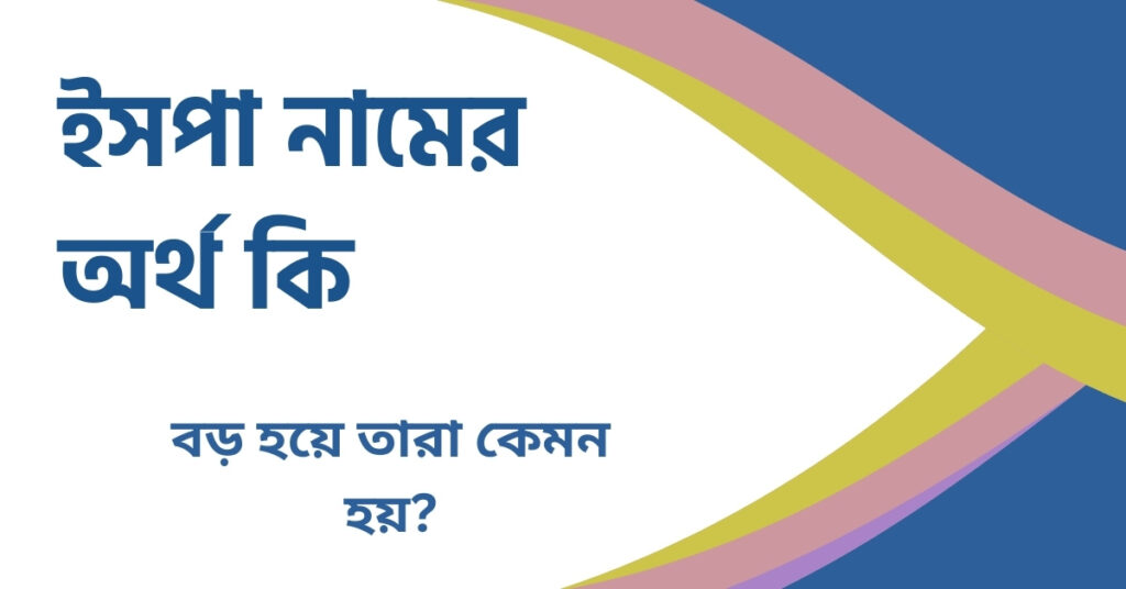 ইসপা নামের অর্থ কি ইসপা নামের অর্থ কি