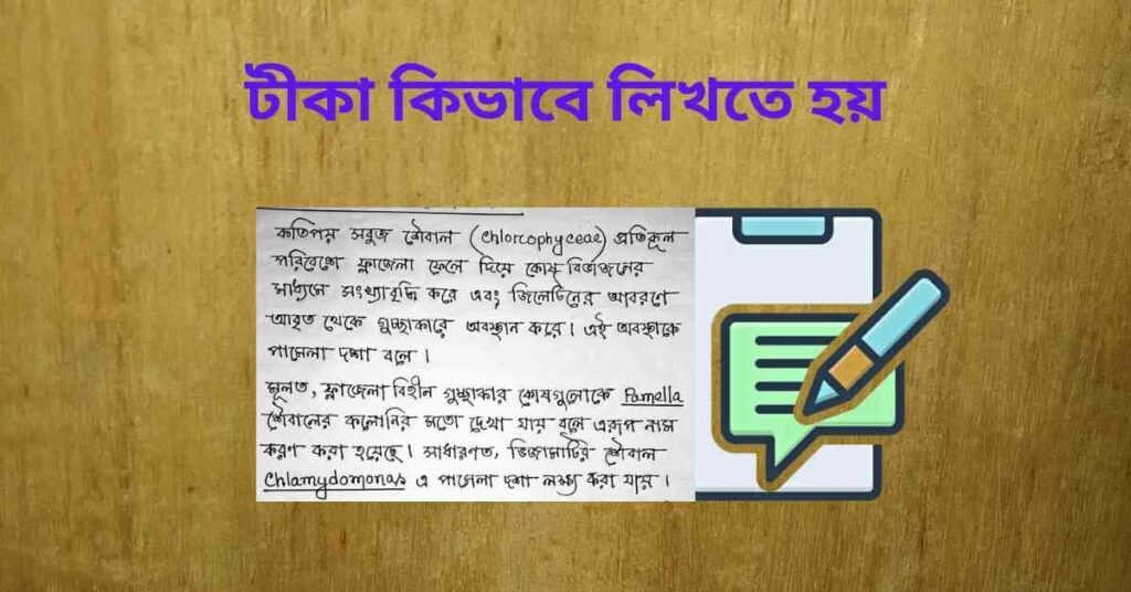 টীকা কিভাবে লিখতে হয়