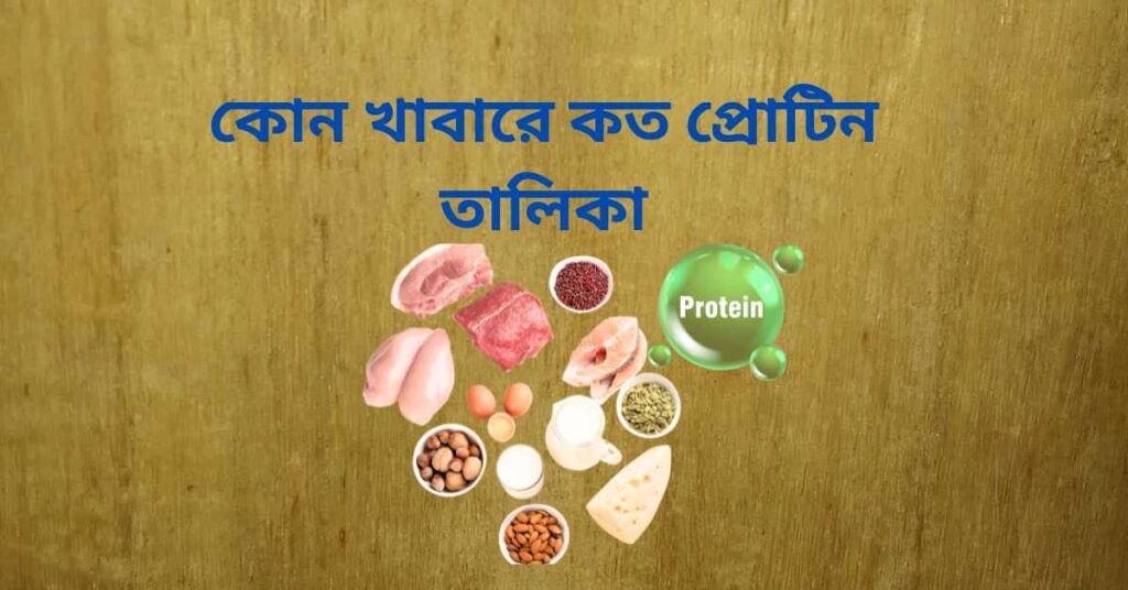 কোন খাবারে কত প্রোটিন তালিকা